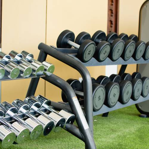 Gimnasio